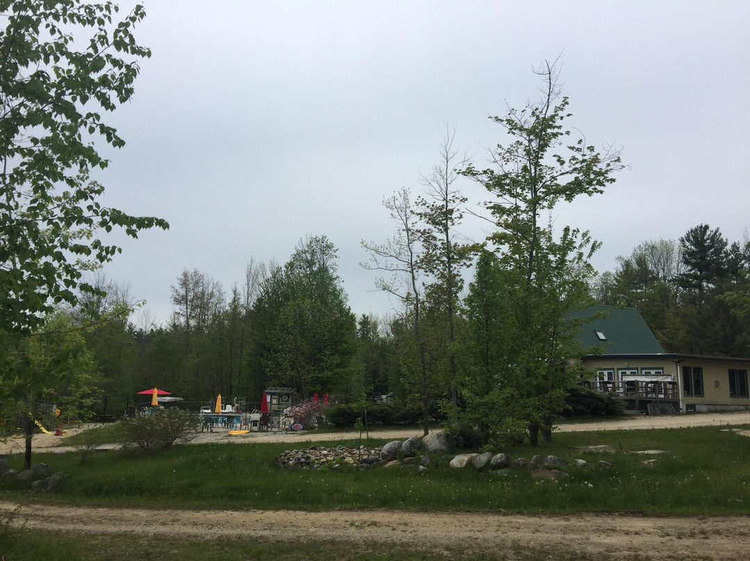 Bear's Pine Woods Campground