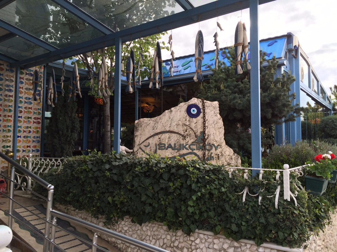 Balıkçıköy Fahri Ümitköy
