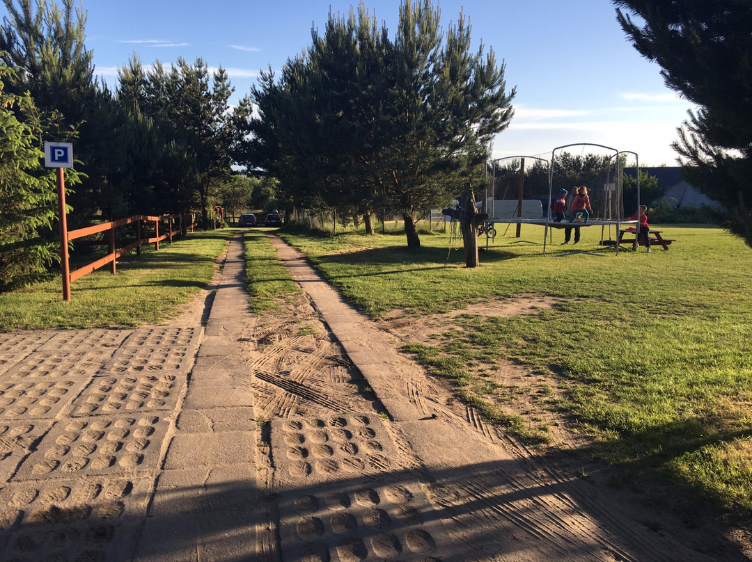 Domki Letniskowe Savana