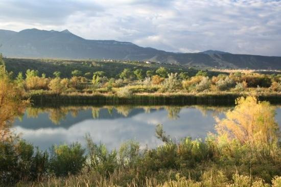 Parachute旅游攻略图片