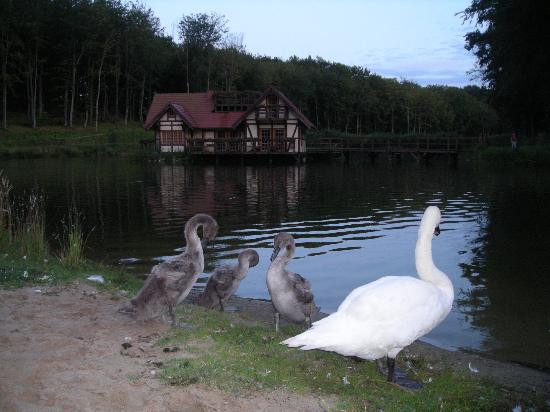 Pensjonat Zelazna Podkowa (Charlotta Valley)