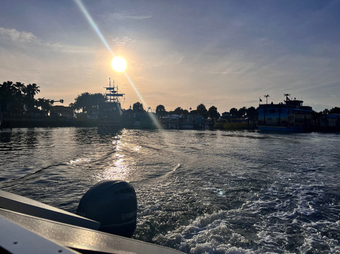 Encounters With Dolphins-克利尔沃特必去景点