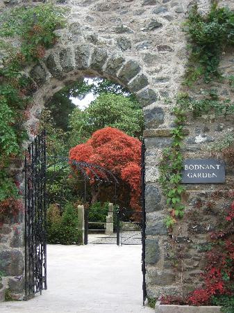 Bodnant Garden景点图片