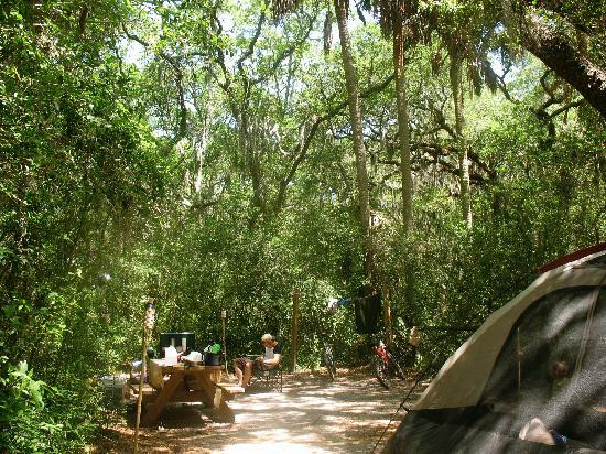 Little Talbot Island State Park-杰克逊维尔必去景点