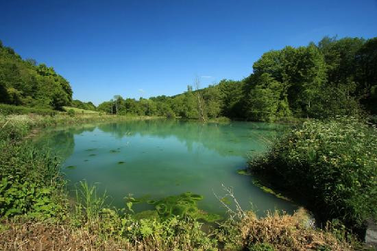 Abbaye de Mortemer-Haute-Normandie必去景点