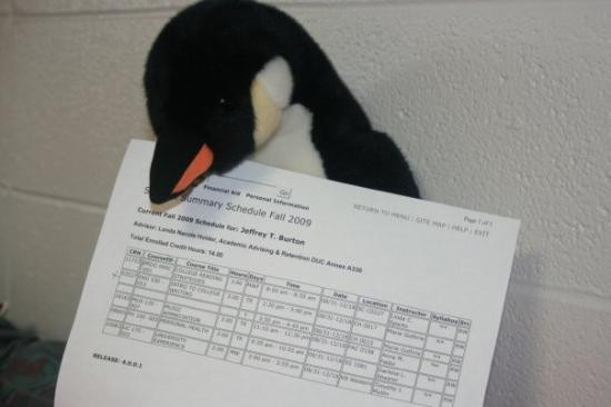 Western Kentucky University-鲍灵格林必去景点