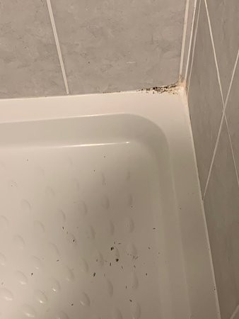 德比伯爵酒店主图