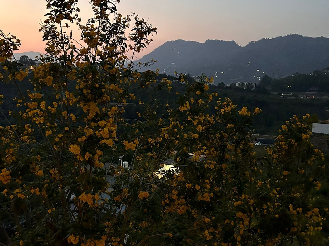 Firdaus Naukuchiatal主图