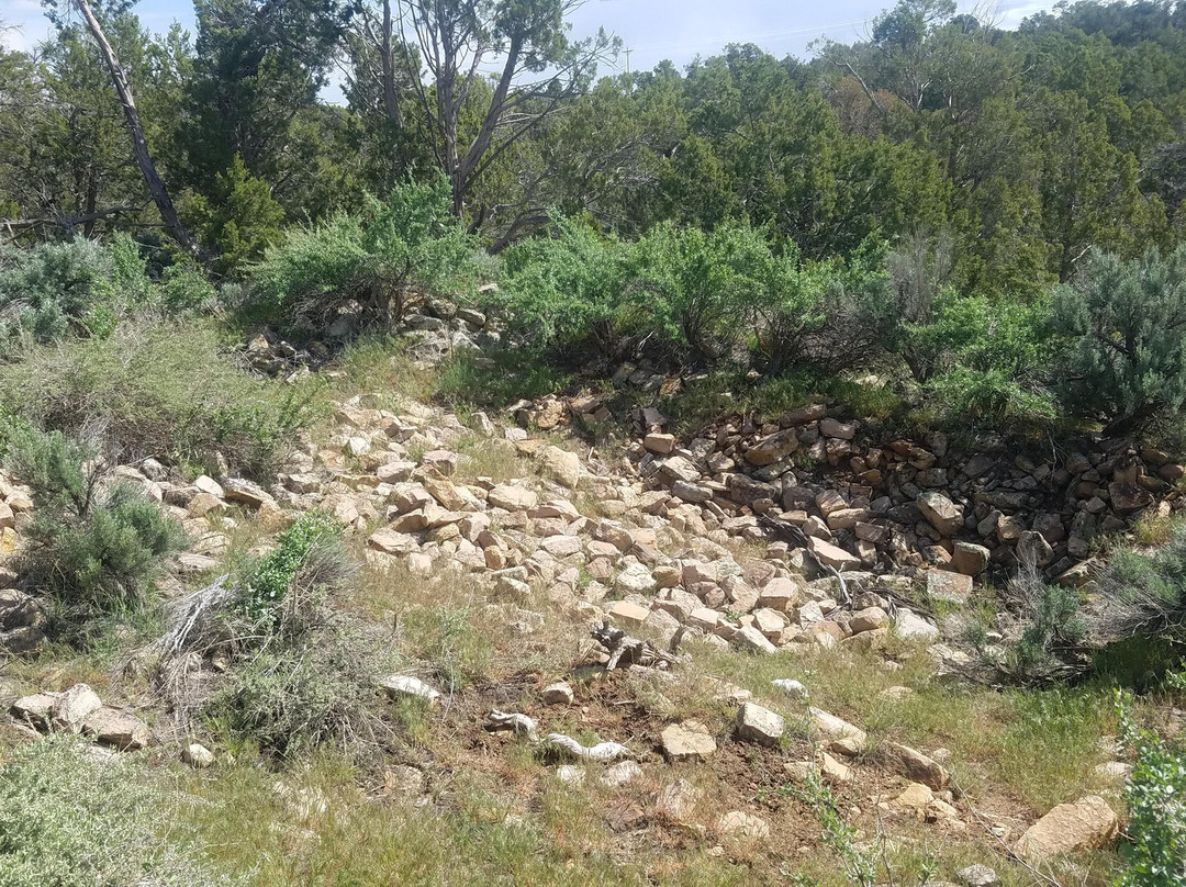 Canyons Of The Ancients National Monument-Pleasant View必去景点