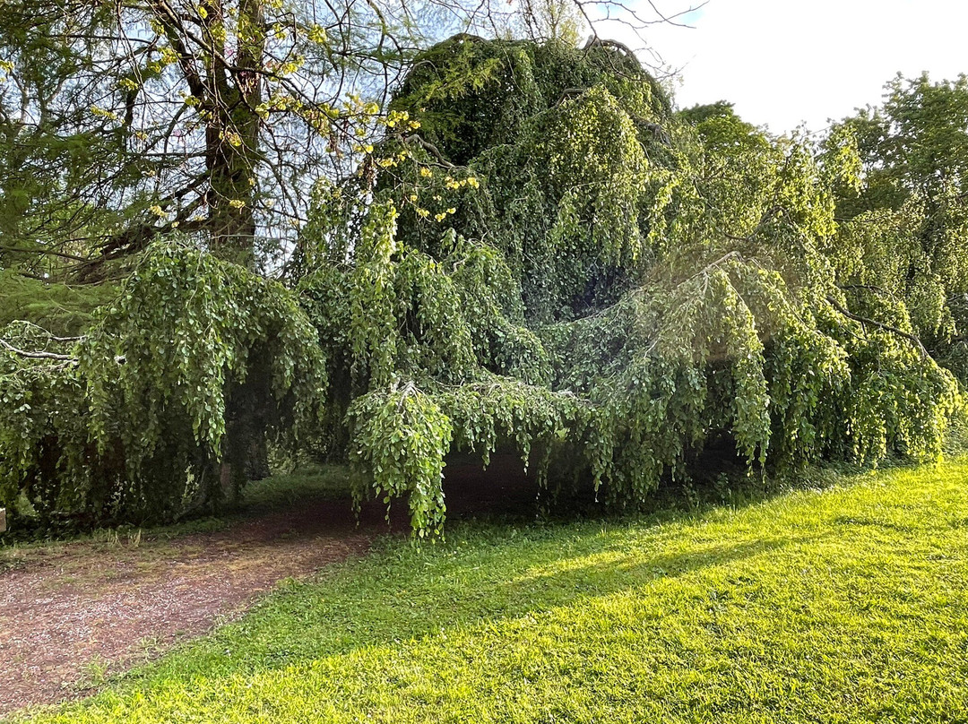 Saint-Pierremont旅游攻略图片