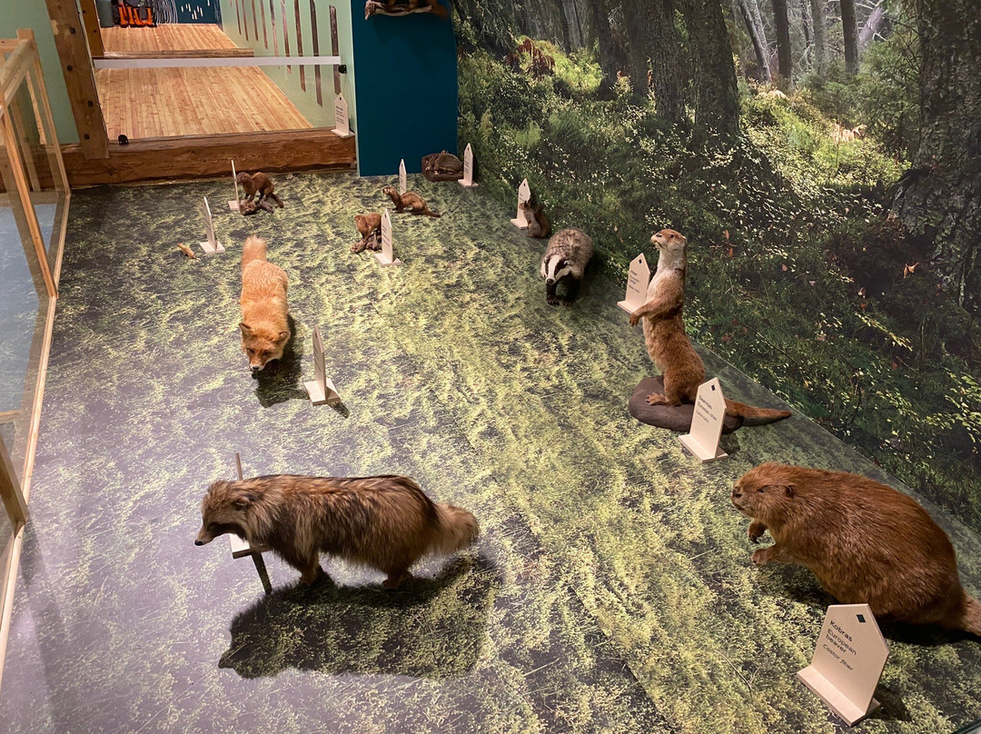Sagadi Forest Museum-Sagadi必去景点