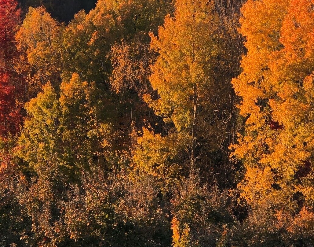 Oakwood Fruit Farm-Richland Center必去景点