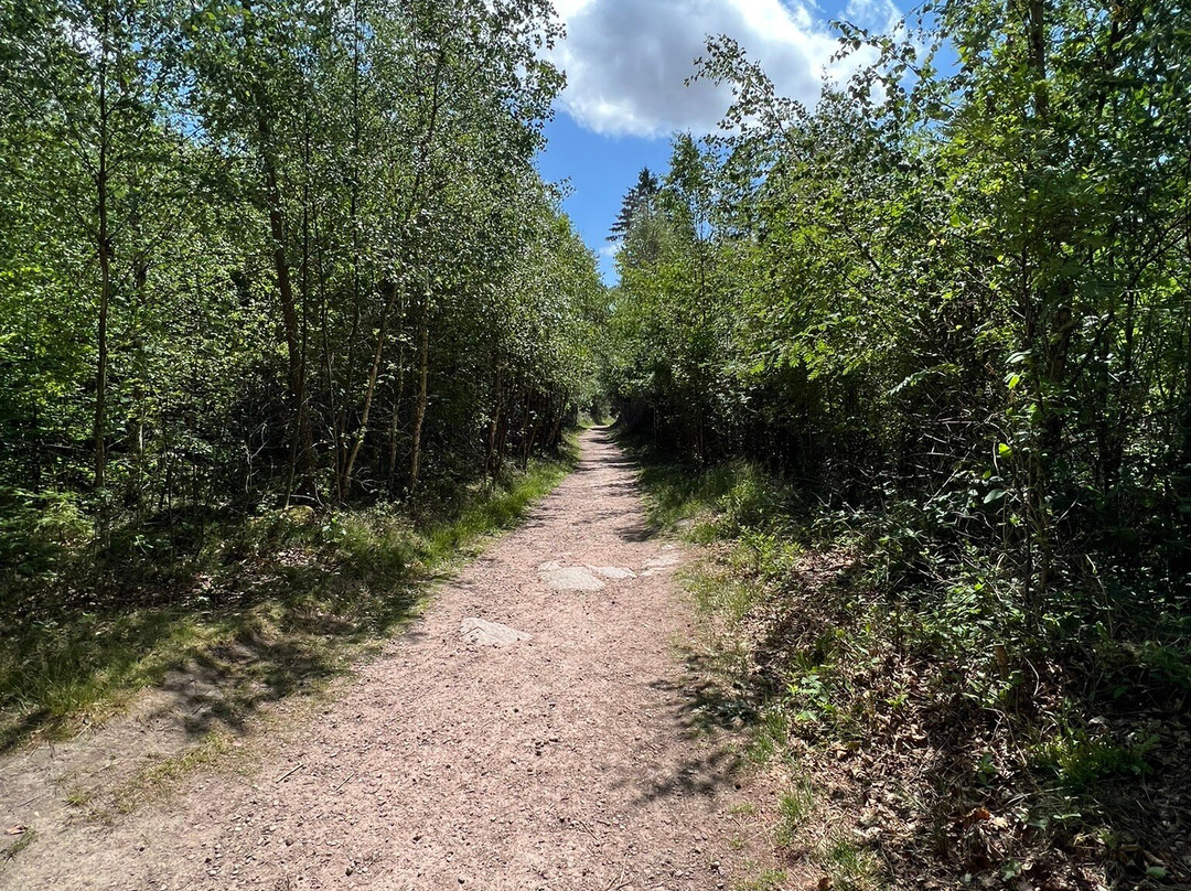 Paradisbakkerne Bornholm-斯瓦讷克必去景点