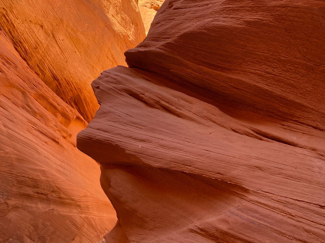 Kayak Lake Powell - Rentals and Day Tours景点图片