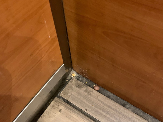 Best Western Plus Peoria主图