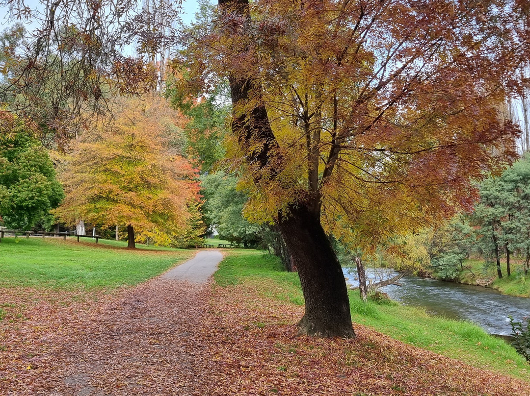 Canyon Walk-布赖特必去景点