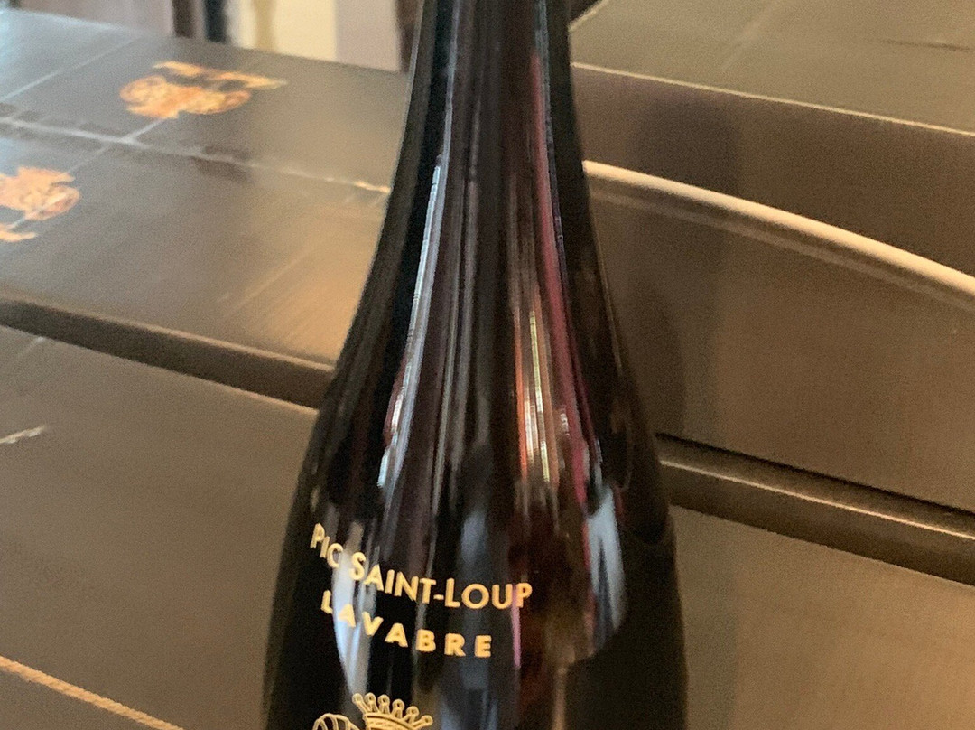 Château Puech-Haut景点图片
