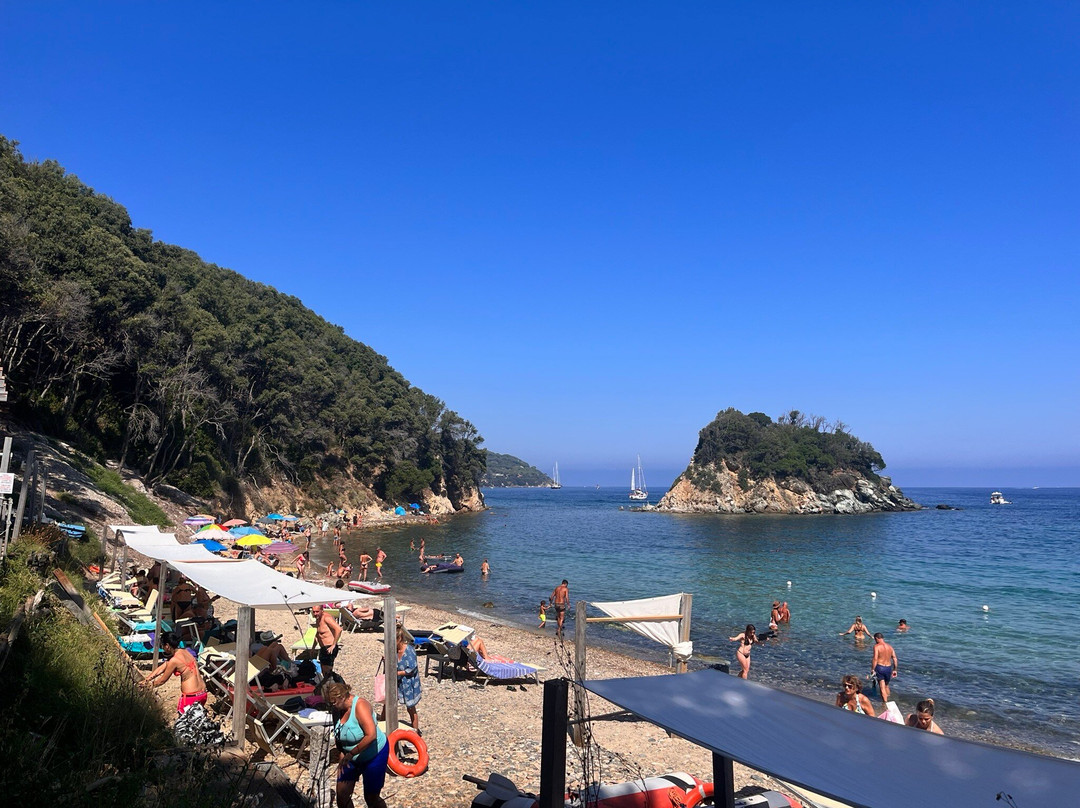 Spiaggia della Paolina景点图片