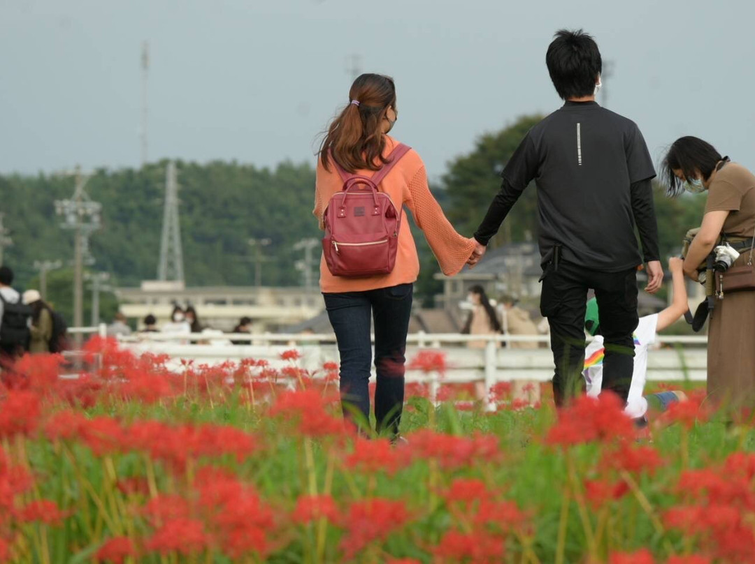 Yakachi River-半田市必去景点