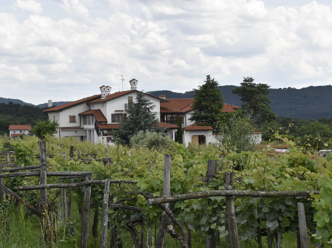 Boris Lisjak Winery-Dutovlje必去景点