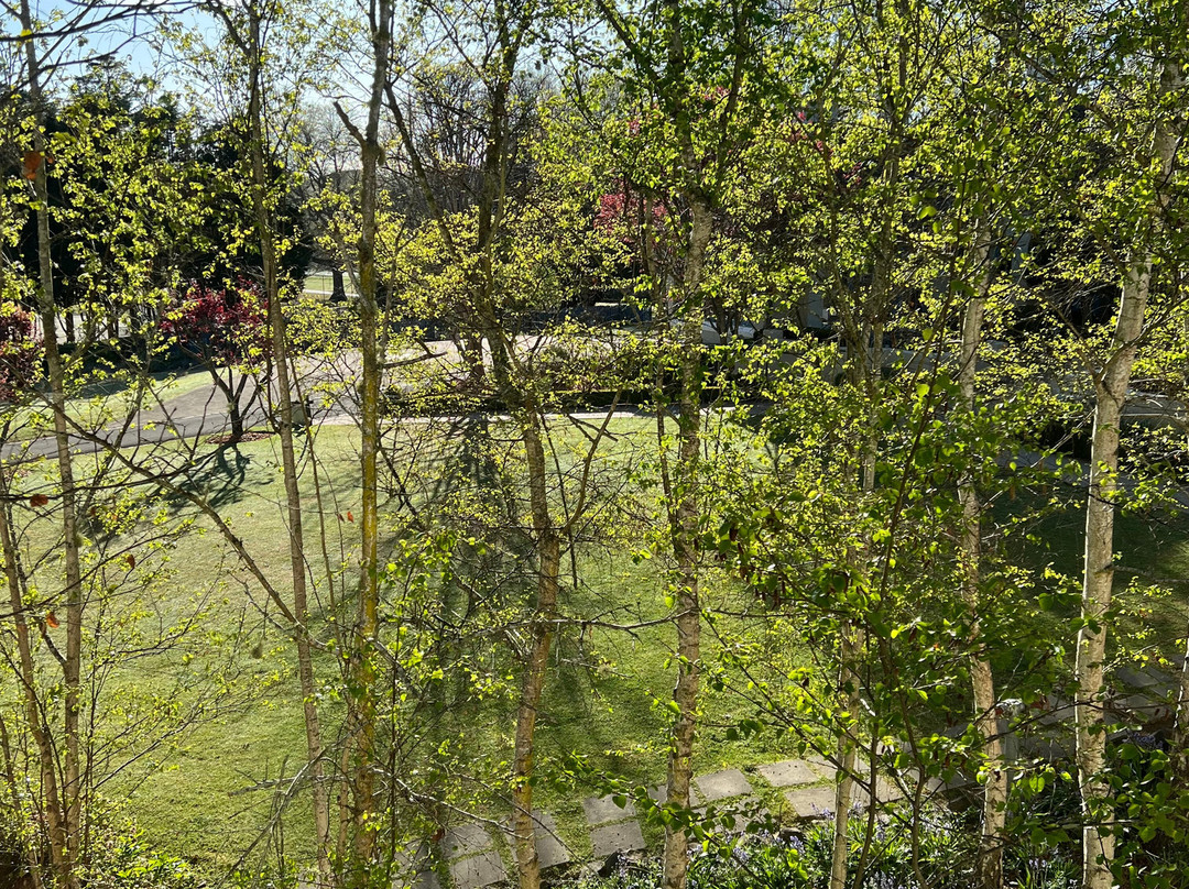 胡椒玛诺屋主图