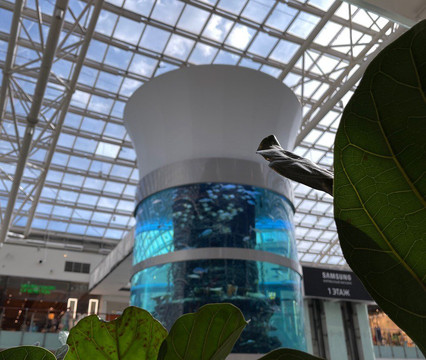 Aviapark Shopping Mall-莫斯科必去景点