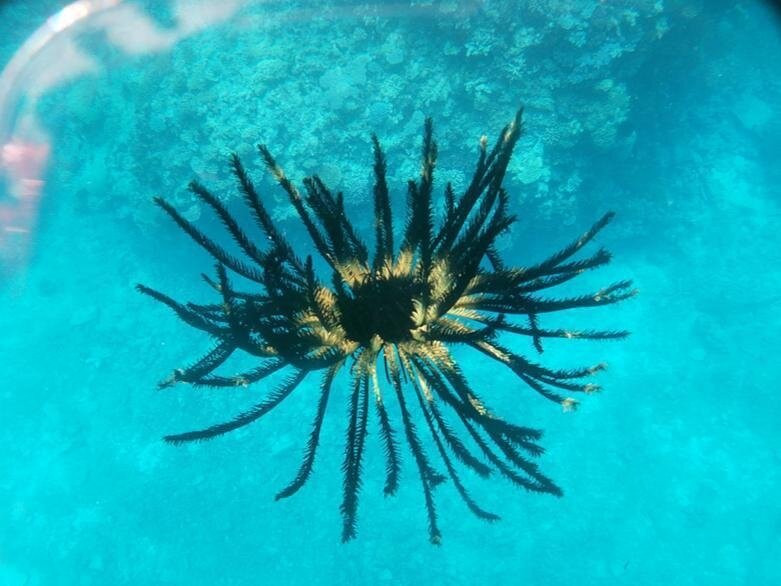 Les Pleiades Du Sud D’Ouvea-Ouvea必去景点