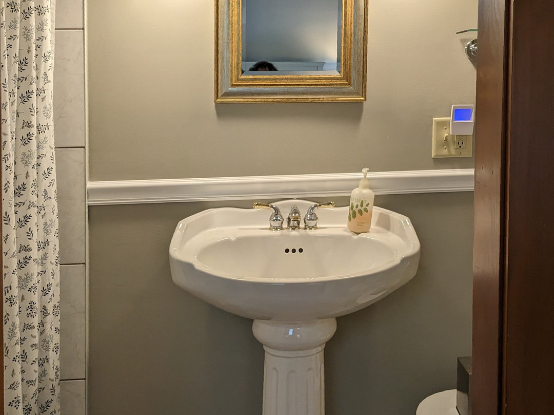 Lang House on Main Street Bed and Breakfast主图