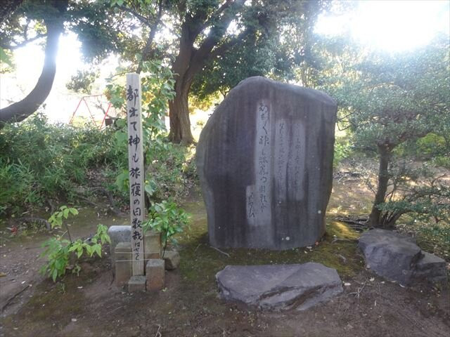 Hie Shrine景点图片