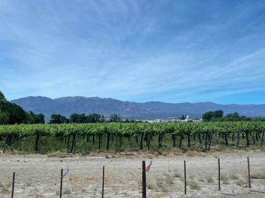 Nordic Travel-萨尔塔必去景点