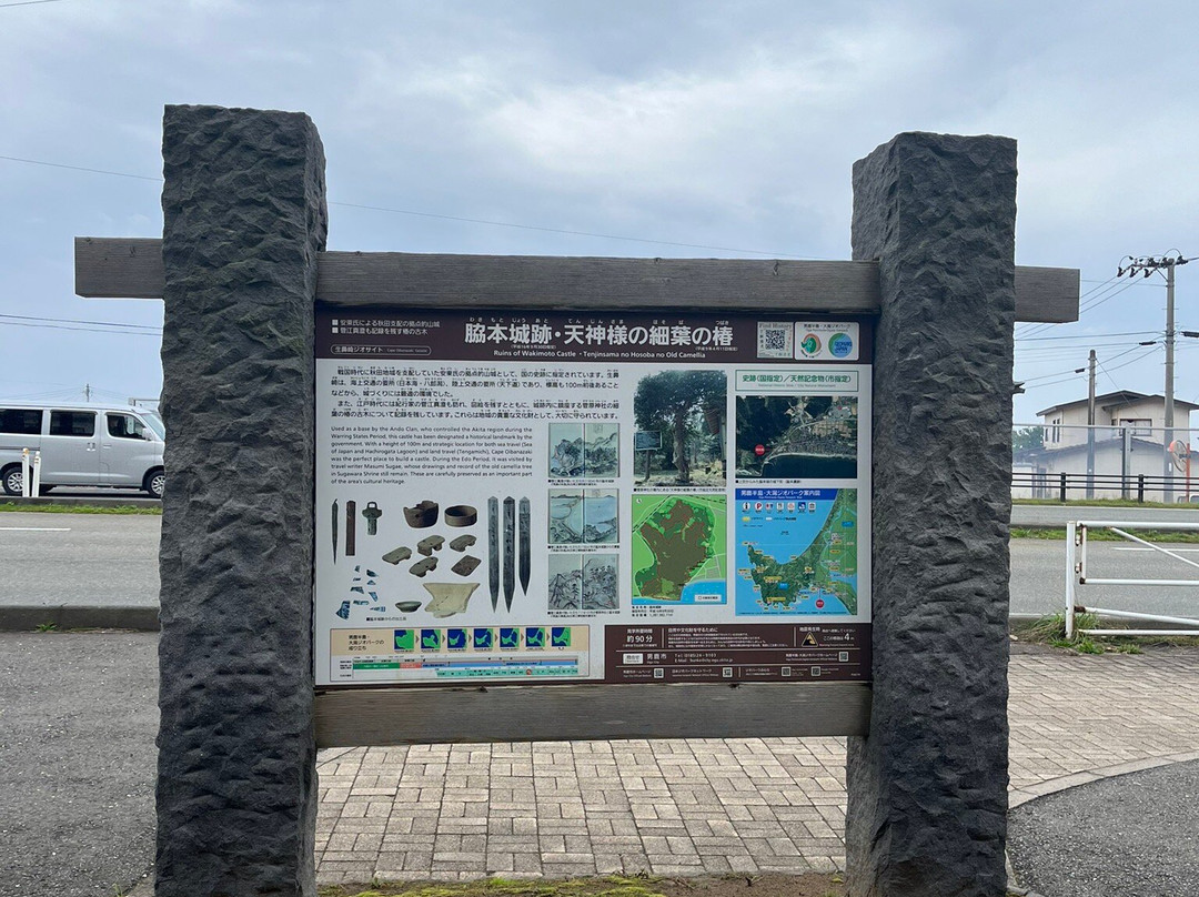 Wakimoto Catsle Remains-男鹿市必去景点