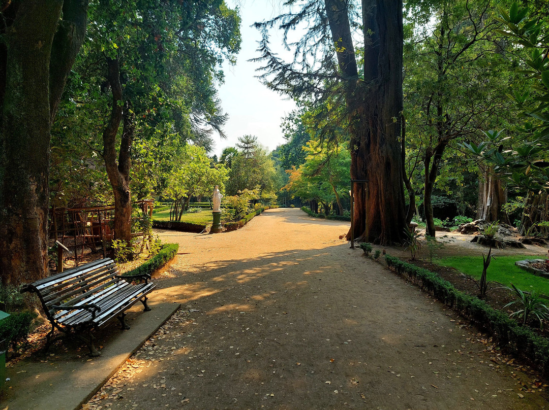 Isidora Cousino Park景点图片