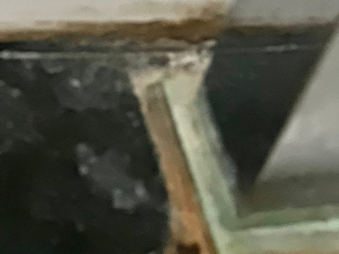 巴厘斯瓦哈酒店主图