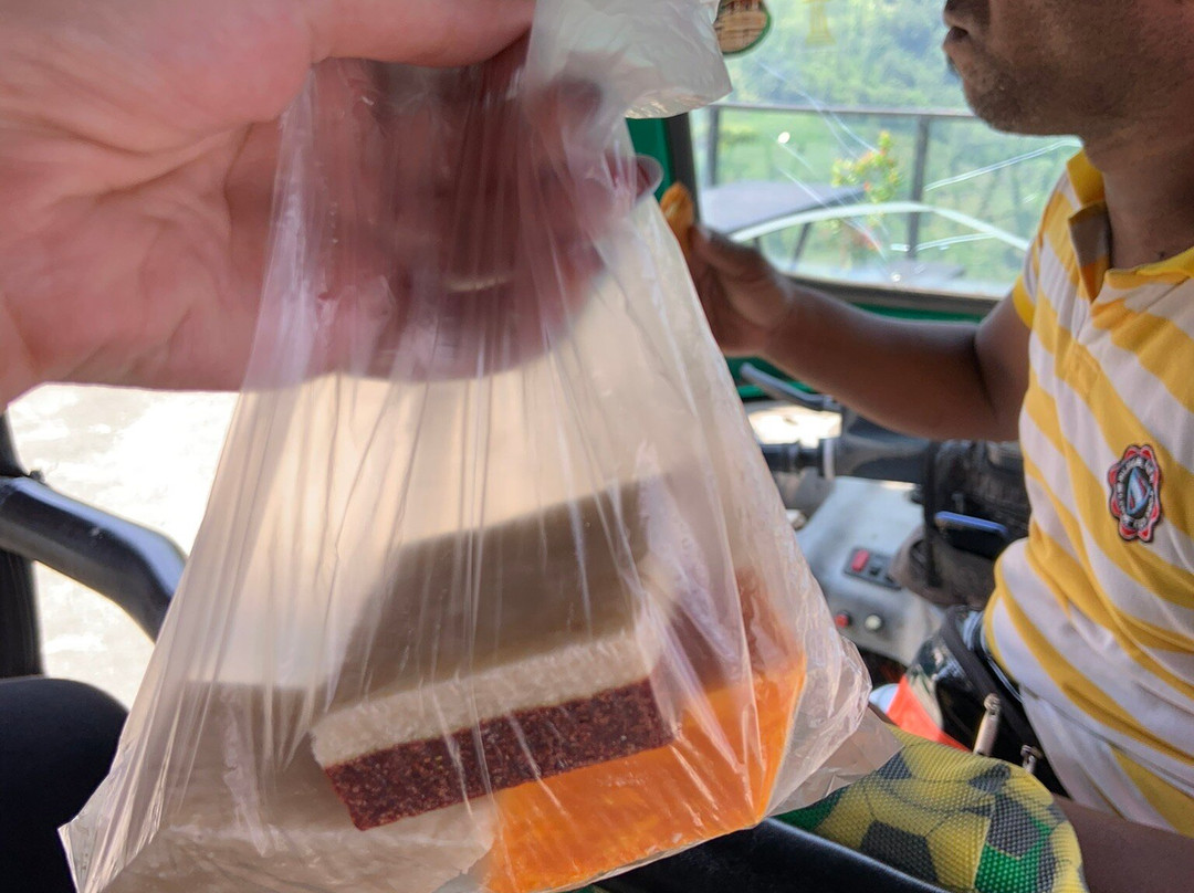 SL Tuk Tuk Travels-康提必去景点