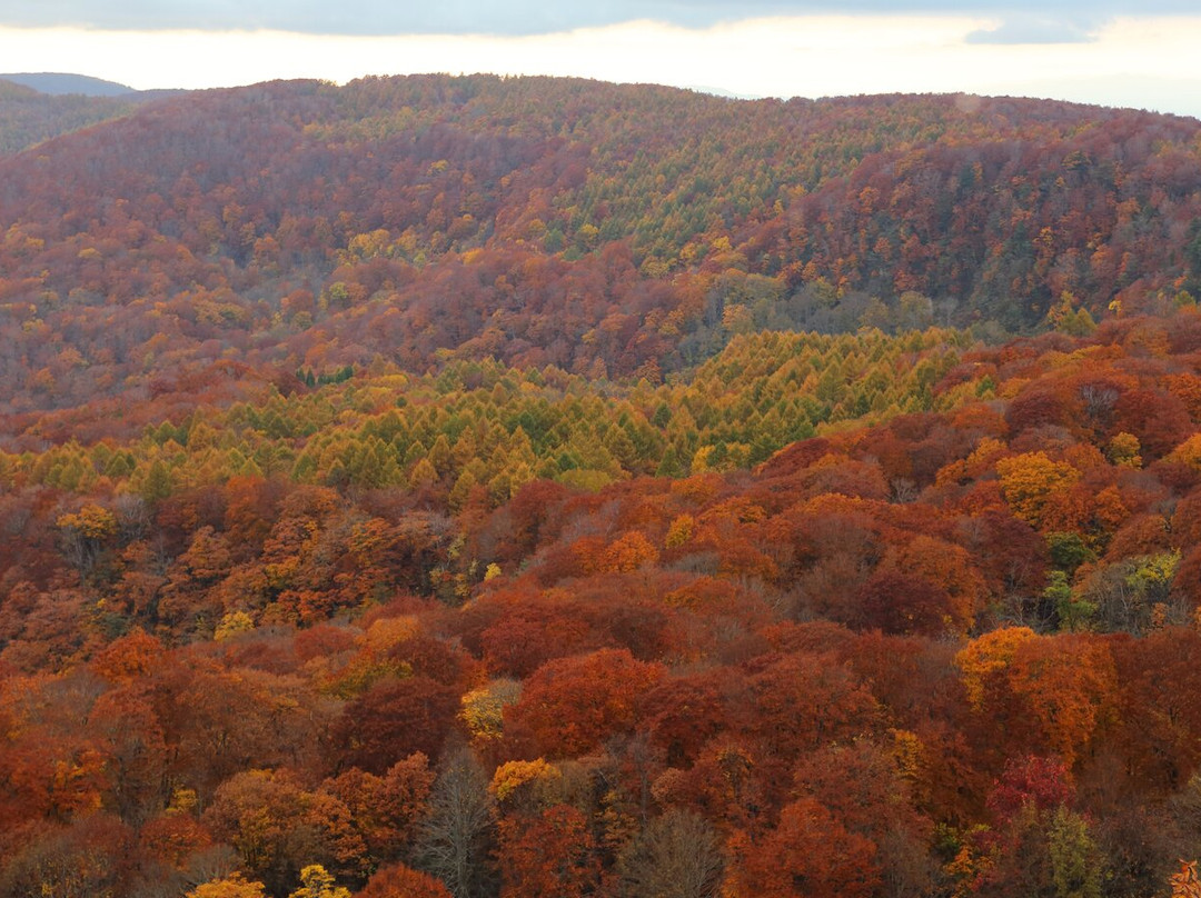城仓大桥-青森市必去景点