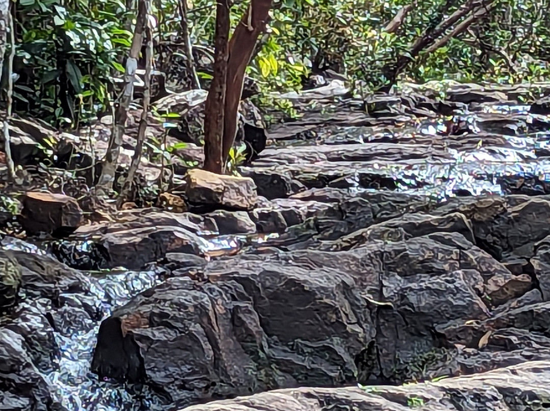 Bong's Guesthouse主图