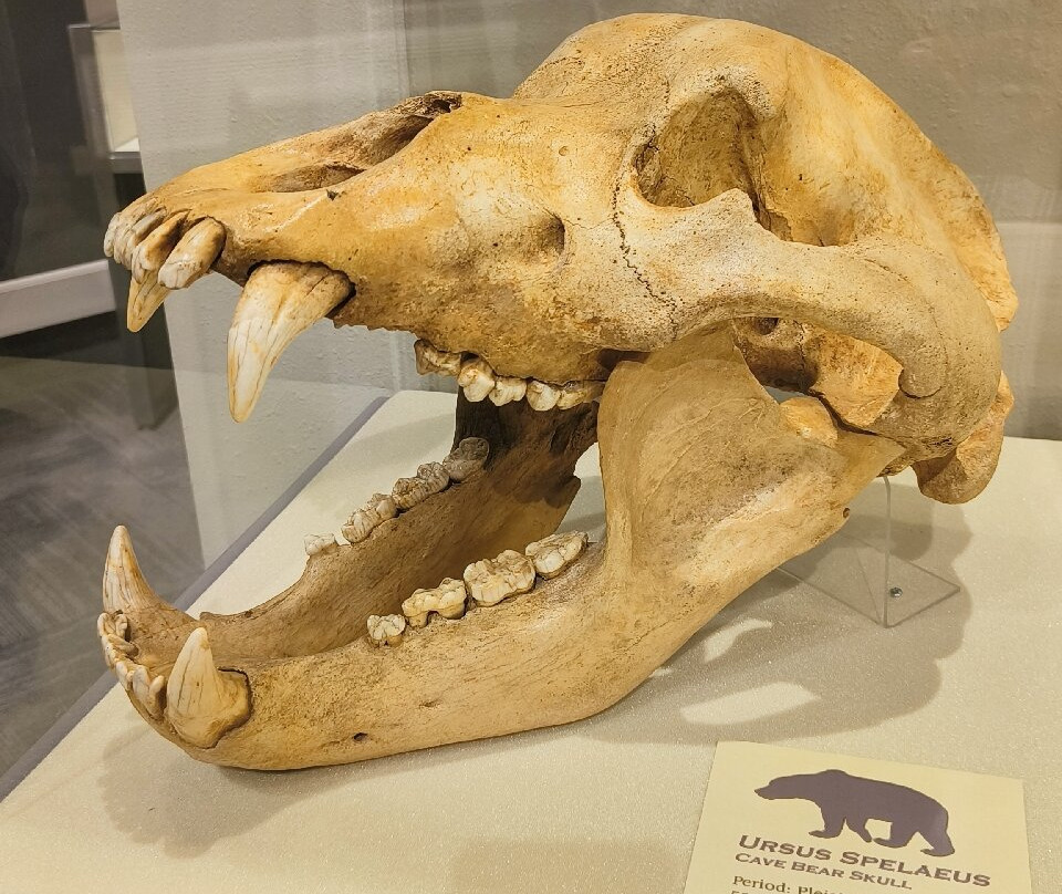 Herrett Center for Arts and Science-特温福尔斯必去景点