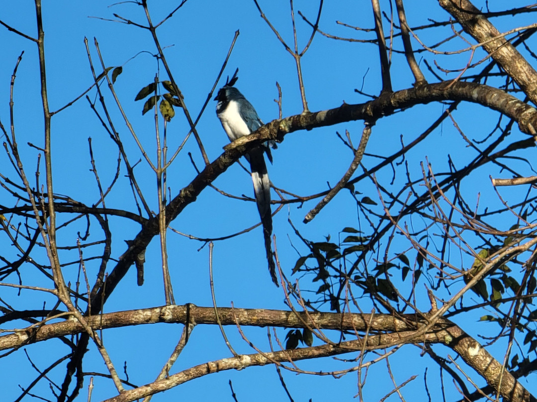 Rancho Primavera主图