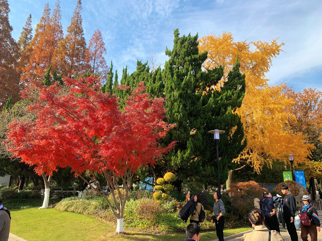 亭林园-昆山市必去景点