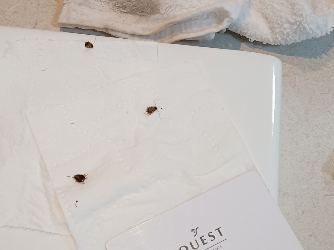 达博探索服务酒店主图