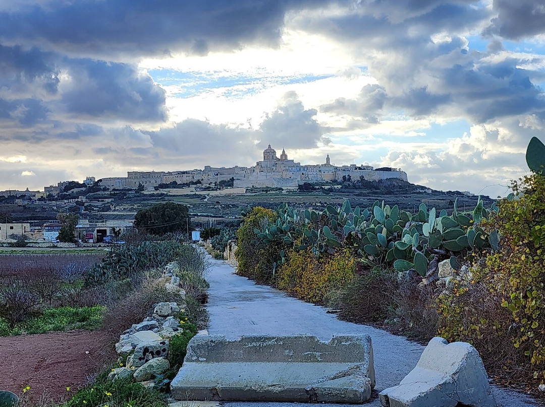 姆迪纳酒店住宿-100 Boutique Living