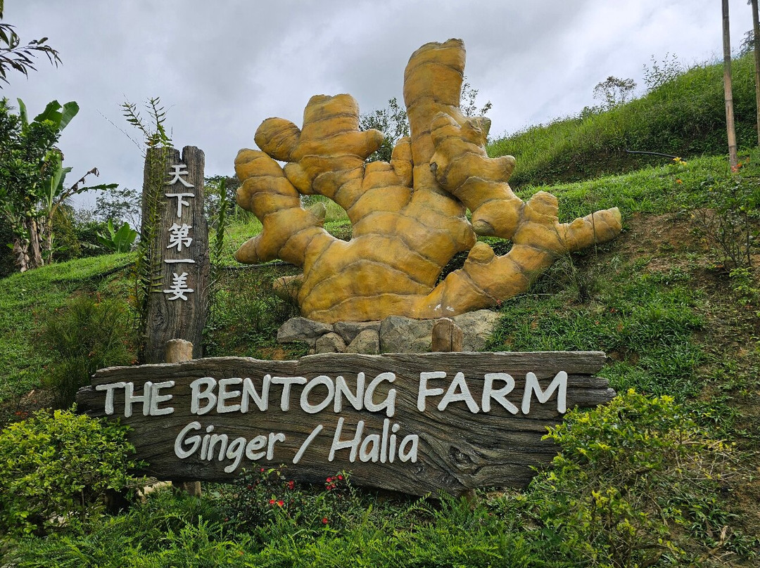 The Bentong Farm-文冬必去景点