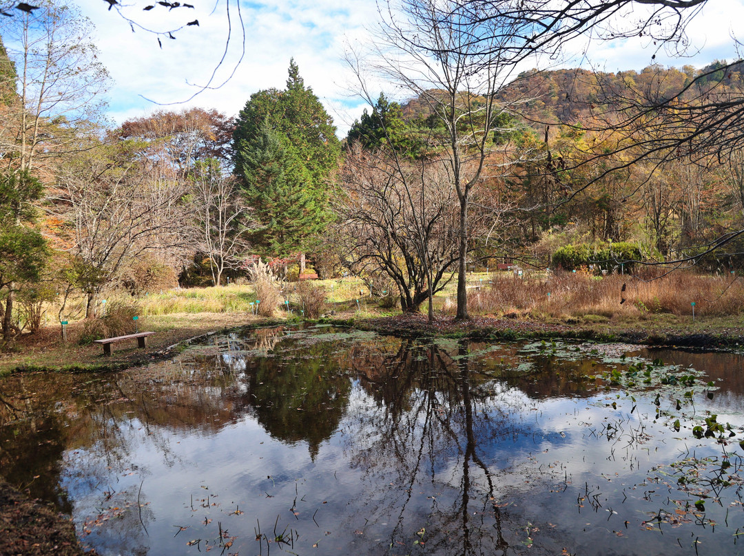 Nikko Botanical Garden-日光市必去景点
