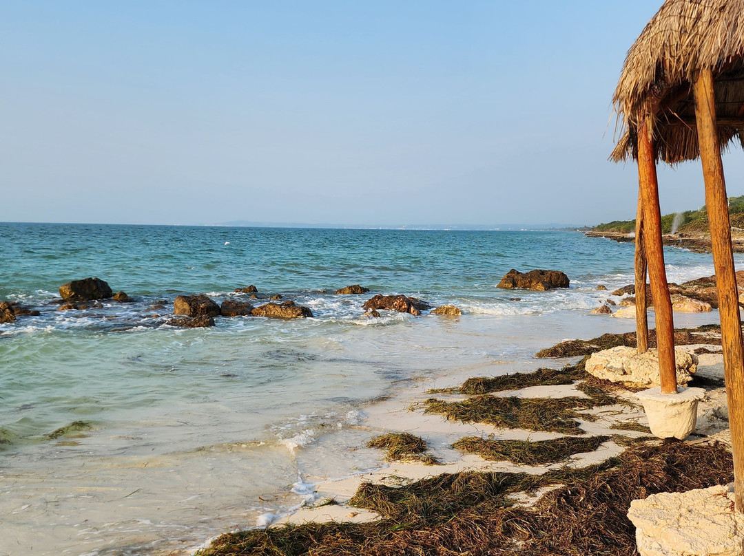 Hotel Tucan Siho Playa主图