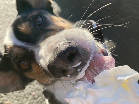 St Mocha Drive Thru Carbeth主图