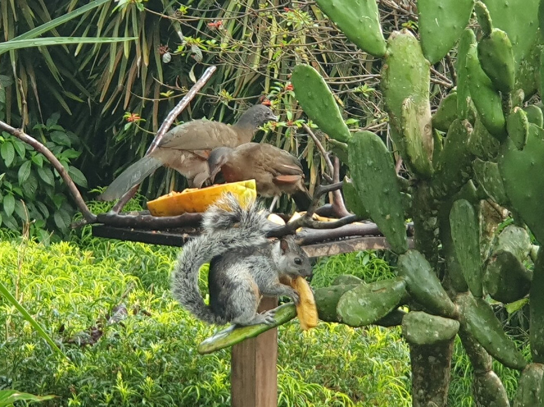 Sueño Rio Celeste Boutique B&B主图