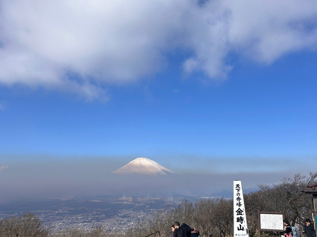 Mt. Kintoki景点图片