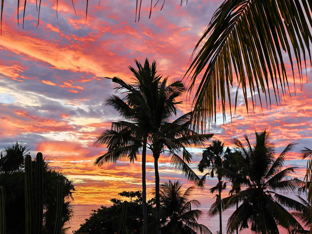 普瑞达祖玛别墅主图