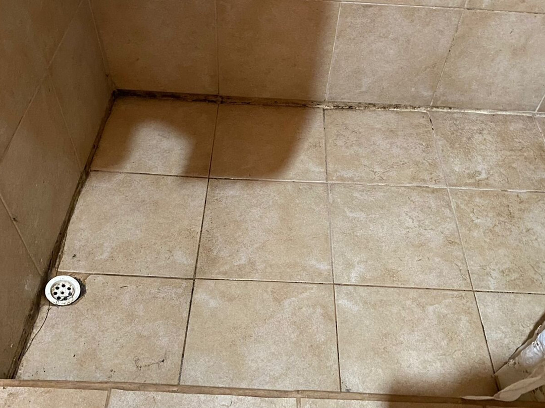 Cabañas El Algodonal主图