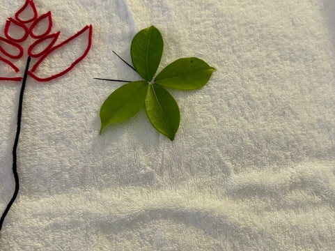 三宝大饭店（福州浦上大道店）主图